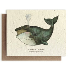 Load image into Gallery viewer, Plantable Seed Cards - Whale Blank Card