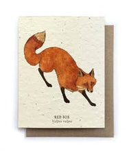 Load image into Gallery viewer, Plantable Seed Cards - Fox Blank Card