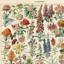 Load image into Gallery viewer, Vintage Reproduction Print - French Flowers