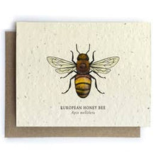 Load image into Gallery viewer, Plantable Seed Cards - Honeybee Blank Card