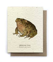 Load image into Gallery viewer, Plantable Seed Cards - Toad Blank Card