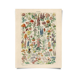 Vintage Reproduction Print - French Flowers