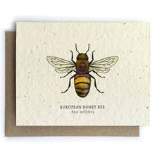 Load image into Gallery viewer, Plantable Seed Cards - Honeybee Blank Card
