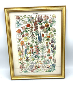 Vintage Reproduction Print - French Flowers